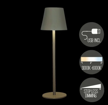 Tischlampe Klein Olive Matt 218006.webp