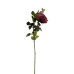 022310-1.jpg