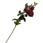 022310-3.jpg